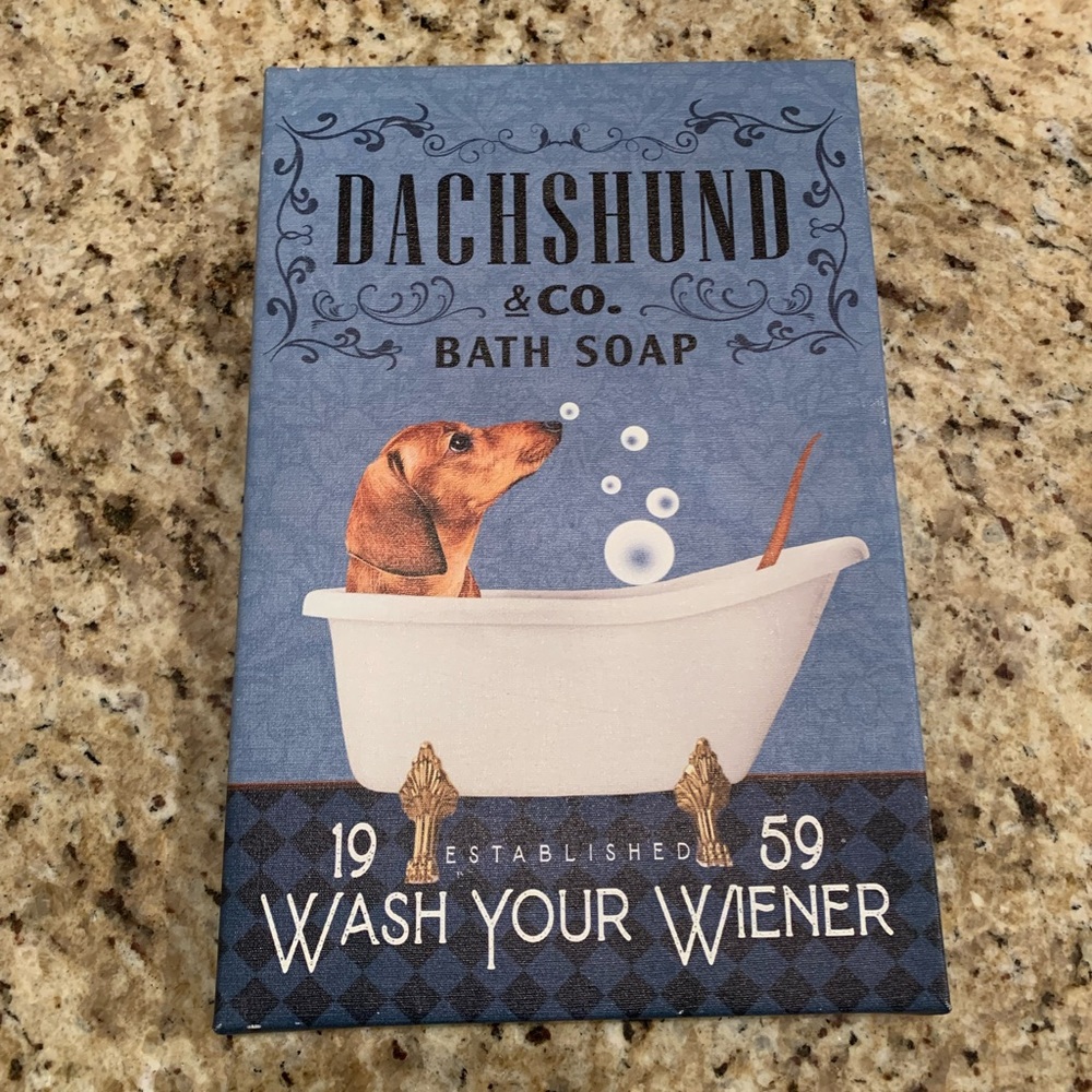 Dachshund Canvas